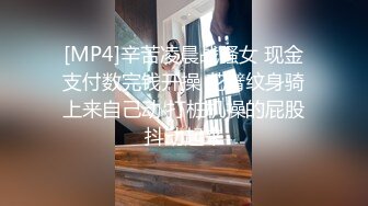 [MP4]辛苦凌晨战骚女 现金支付数完钱开操 花臂纹身骑上来自己动 打桩机操的屁股抖动起来