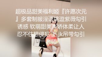 喜欢打桩的女骑士