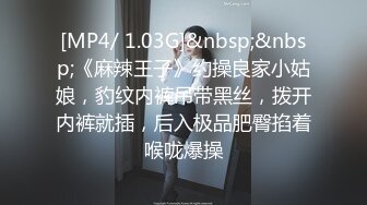 [MP4/ 1.03G]&nbsp;&nbsp;《麻辣王子》约操良家小姑娘，豹纹内裤吊带黑丝，拨开内裤就插，后入极品肥臀掐着喉咙爆操