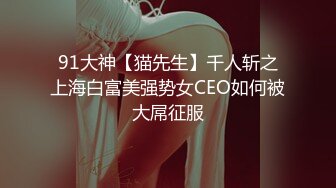 91大神【猫先生】千人斩之上海白富美强势女CEO如何被大屌征服