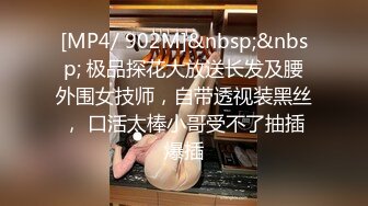 (麻豆傳媒)(mfk-0043)(20240111)小姨的線上情人