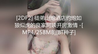 onlyfans露脸尤物御姐 nina loveu 性爱合集视频 很难相信蜂腰肥臀身材下还有对E罩杯大奶！