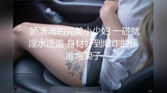 69身材极好的纹身小骚逼