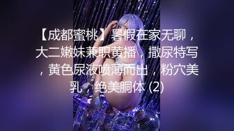 精品绝美尤物性感妖娆身姿 性感女神杨晨晨 典雅都市OL风格服饰装扮 曼妙多姿婀娜姿态娇柔欲滴[60P/515M]