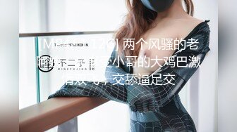 [4K/FHD/129.7G]经典重温 曾火遍全网推女郎【艾栗栗】视频图片合集