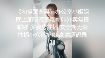 【果冻传媒】一夜情酒吧艳遇的女人居然是女友的姐姐-林凤娇