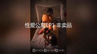 重磅佳作！人生赢家推特富豪大神【海盗船长】私拍第四弹，重金全包九头身极品外围女神3P淫乱前后夹击