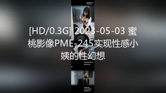 国产AV 蜜桃影像传媒 PMX041 办公室女高管遥控泄欲 白星雨