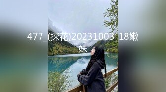 91制片厂 KCM158 到府服务的极品情欲女技师 李娜娜