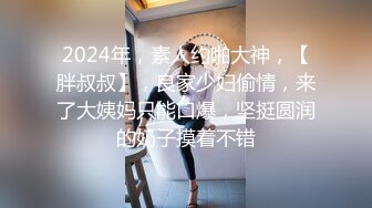 2024年，素人约啪大神，【胖叔叔】，良家少妇偷情，来了大姨妈只能口爆，坚挺圆润的奶子摸着不错