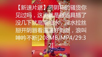 [MP4]國產麻豆AV MDX MDX0034 空降女優陪你淫新年 與你共渡淫蕩春宵 安娜 VIP0600