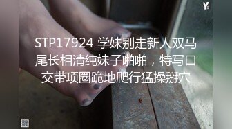 [MP4]颜值不错肉肉身材妹子啪啪舌吻互摸舔逼上位骑坐自己动抽插猛操