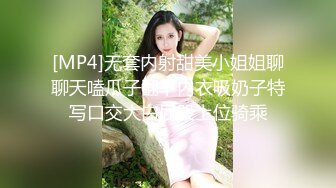 [MP4]无套内射甜美小姐姐聊聊天嗑瓜子翻下内衣吸奶子特写口交大白屁股上位骑乘