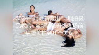 MCY-0253大胸美女学防狼反被操