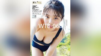 WTB-068