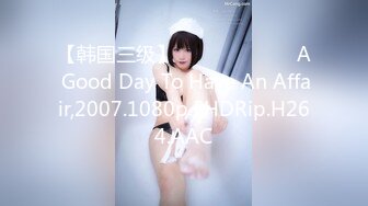 【韩国三级】바람 피기 좋은 날 A Good Day To Have An Affair,2007.1080p.FHDRip.H264.AAC