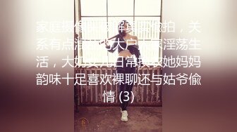 家庭摄像头破解真实偸拍，关系有点混乱的大户人家淫荡生活，大奶女儿日常换衣她妈妈韵味十足喜欢裸聊还与姑爷偸情 (3)