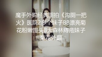 【beauty】高价良家云盘流出，极品反差女友，白富美女神，做爱视频上下皆粉 (4)(下)