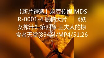 麻豆传媒 MDWP-0026 淫行办公室 岚湘庭