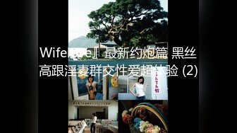 Wifelove』最新约炮篇 黑丝高跟淫妻群交性爱超体验 (2)