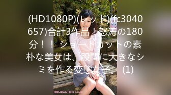 (HD1080P)(レッド)(fc3040657)合計3作品！怒涛の180分！！ ショートカットの素朴な美女は、股間に大きなシミを作る変態女子。 (1)