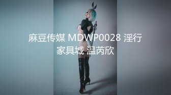 麻豆传媒 MDWP0028 淫行家具城 温芮欣