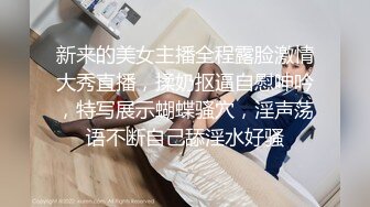 91新人EboArt盛世美胸系列-极品爆乳女警露胸短裙 D奶翘挺口活玩弄 香艳舌吻玩到射 正90度角拍 高清1080P版